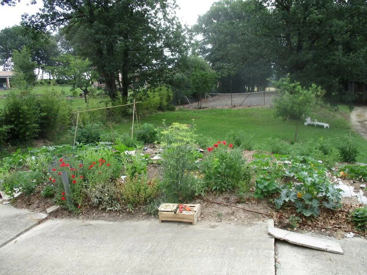 Bienvenue dans notre petit paradis Pelleport