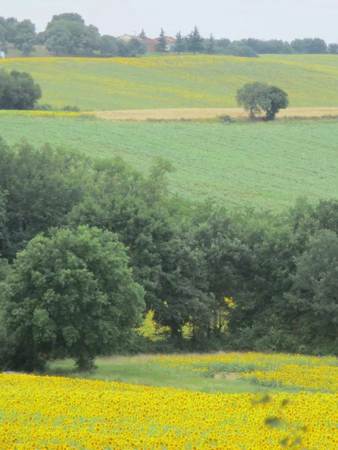 Séjour chez l'habitant Bienvenue dans notre petit paradis Pelleport France